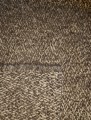 20220314_101930.jpg