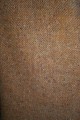 20220314_114517.jpg