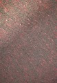 20220317_135702.jpg