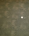 20220323_113026.jpg