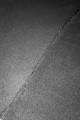20220323_105137 (1).jpg