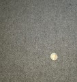 20220406_112753.jpg