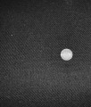 20220413_144848.jpg