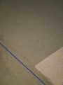 20220429_135519.jpg