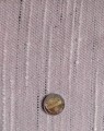 IMG_20220131_101720.jpg