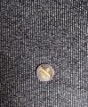 IMG_20220131_120143.jpg