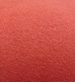 IMG_20220208_162411.jpg